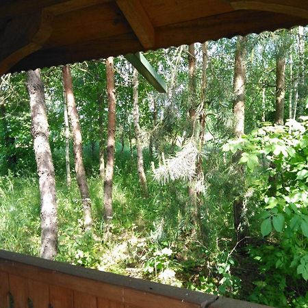 Noclegi Przy Kominku Miedzyles  Ruang foto