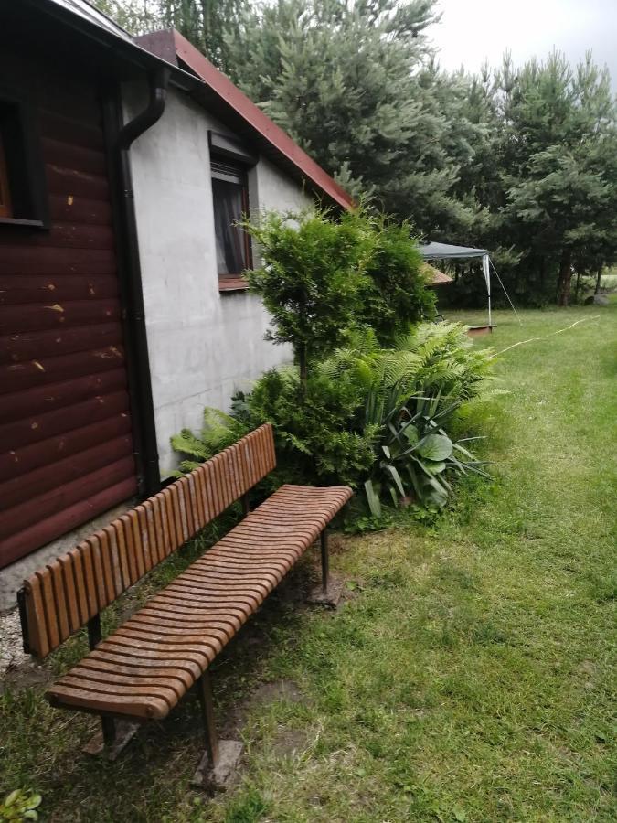 Noclegi Przy Kominku Miedzyles  Bagian luar foto