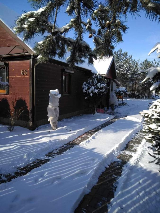 Noclegi Przy Kominku Miedzyles  Bagian luar foto