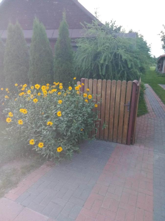 Noclegi Przy Kominku Miedzyles  Bagian luar foto