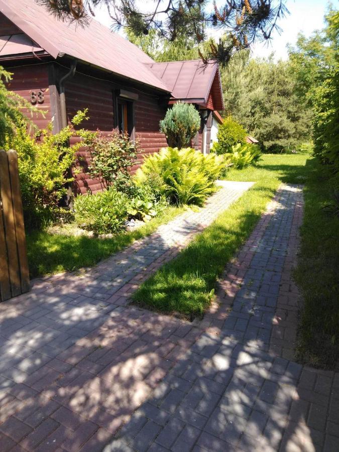 Noclegi Przy Kominku Miedzyles  Bagian luar foto